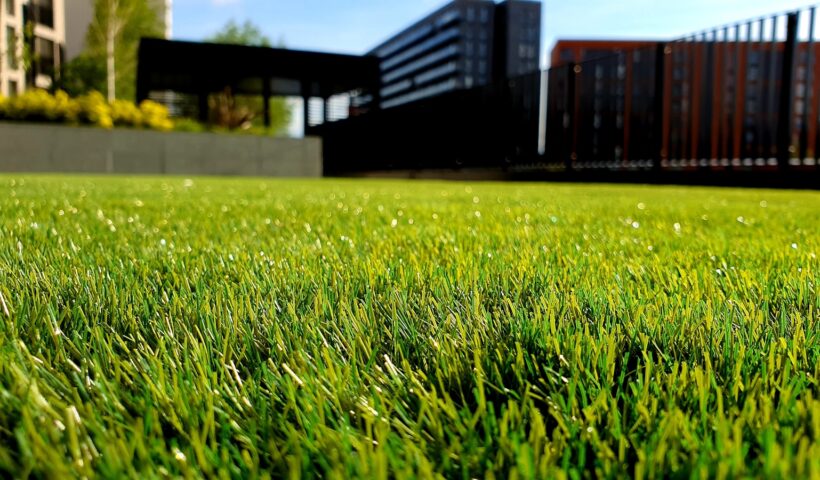 green grass field