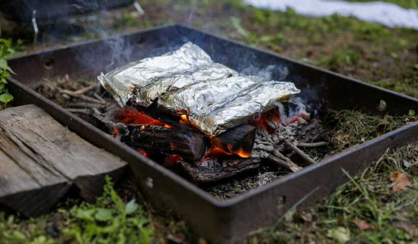 a fish on a grill